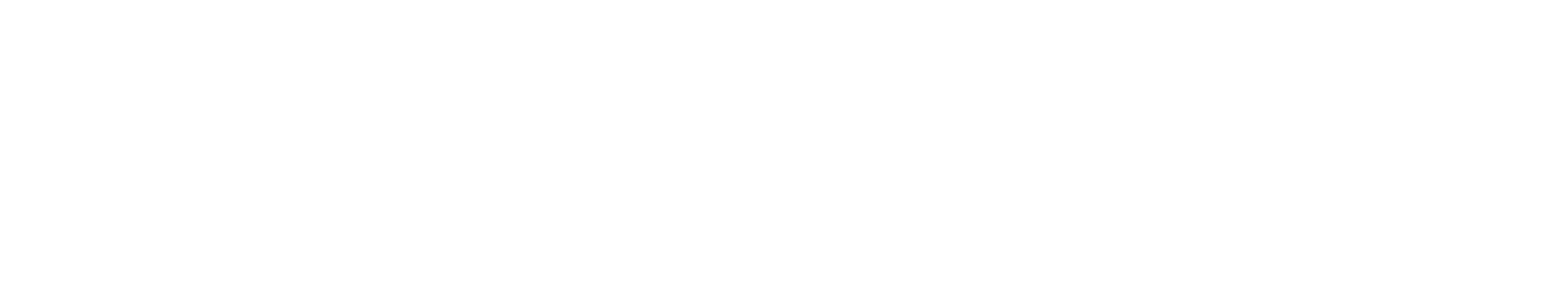 Prometrik