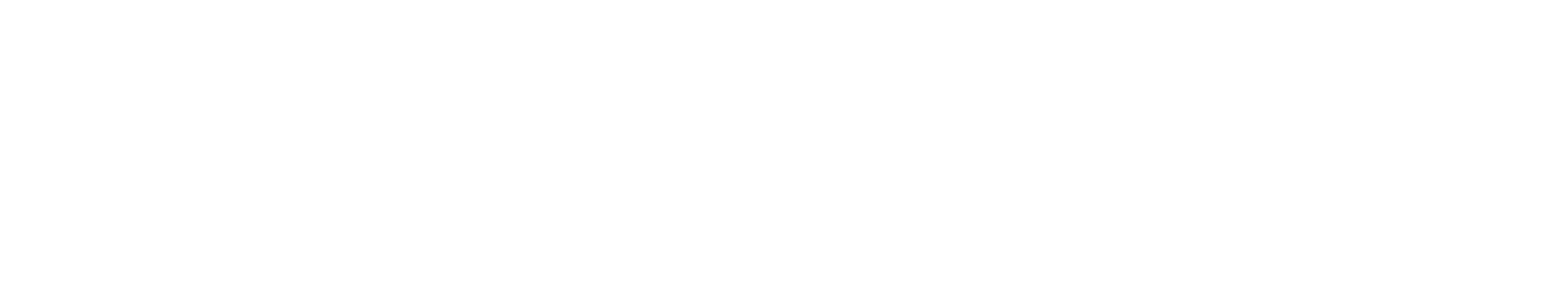 Prometrik